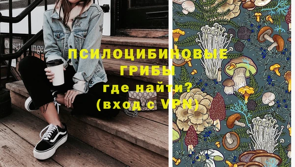амф Шадринск