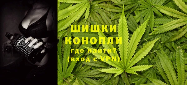 мдпв Володарск