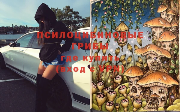 2c-b Шали