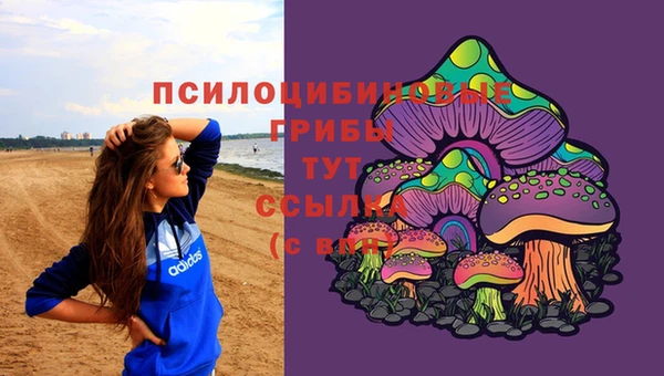 2c-b Шали