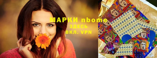 амф Шадринск