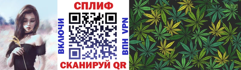 Канабис ГИДРОПОН  Купить где  Канск 